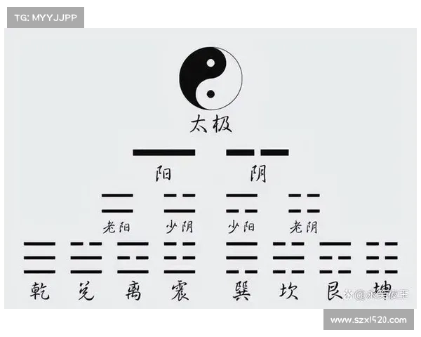 阴阳符文的奥秘与古代哲学的深度解读之旅 阴阳符文的奥秘与古代哲学的深度解读之旅