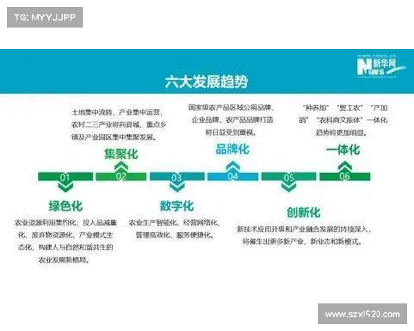 中国男足输越南的深层次原因与未来发展路径的理性剖析